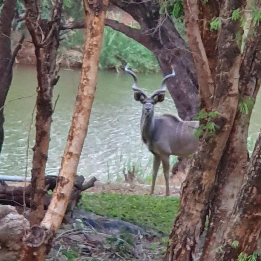 Ekuthuleni River Front Chalets Maruleng Dış mekan fotoğraf